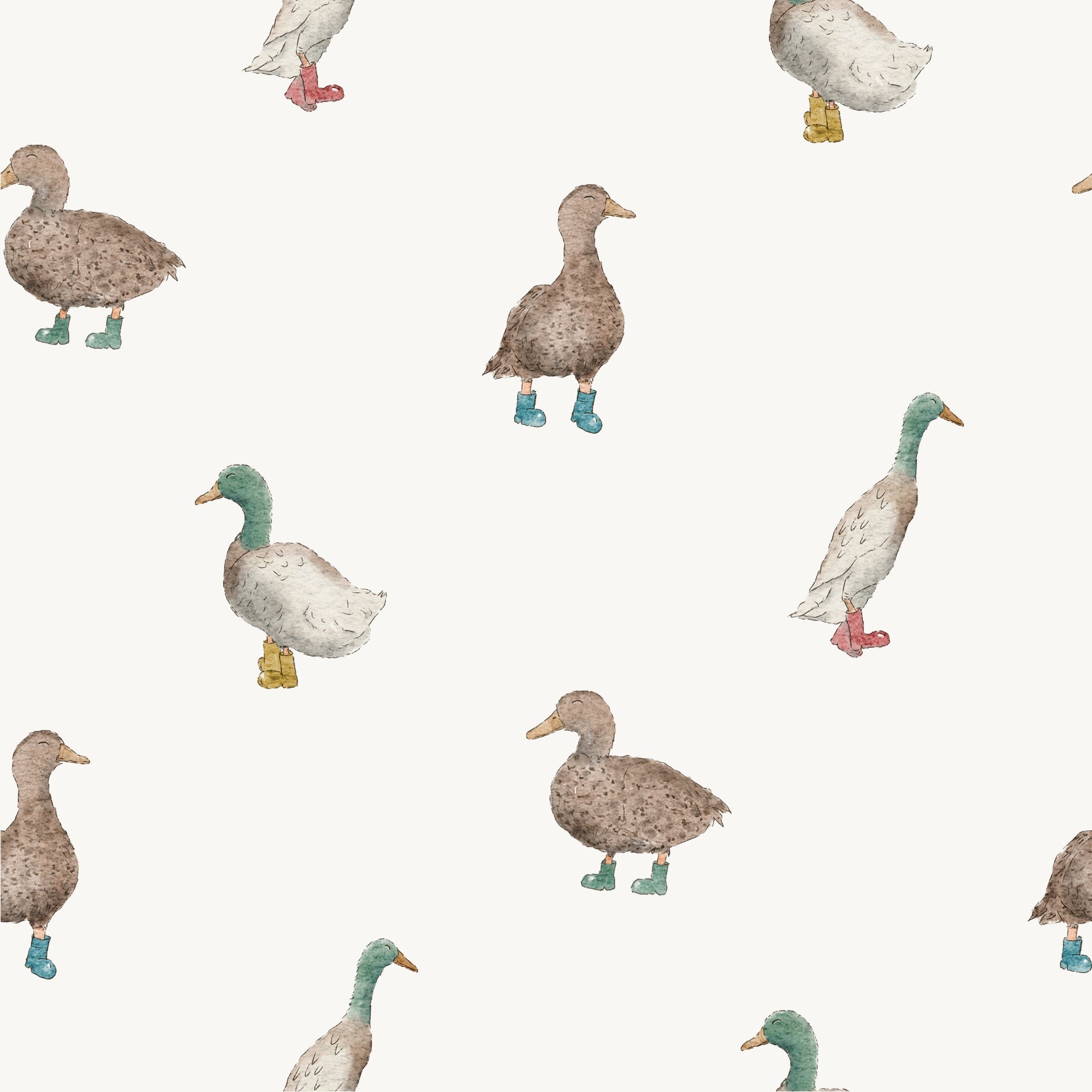 Ducks With Boots Yellow Red Blue Green