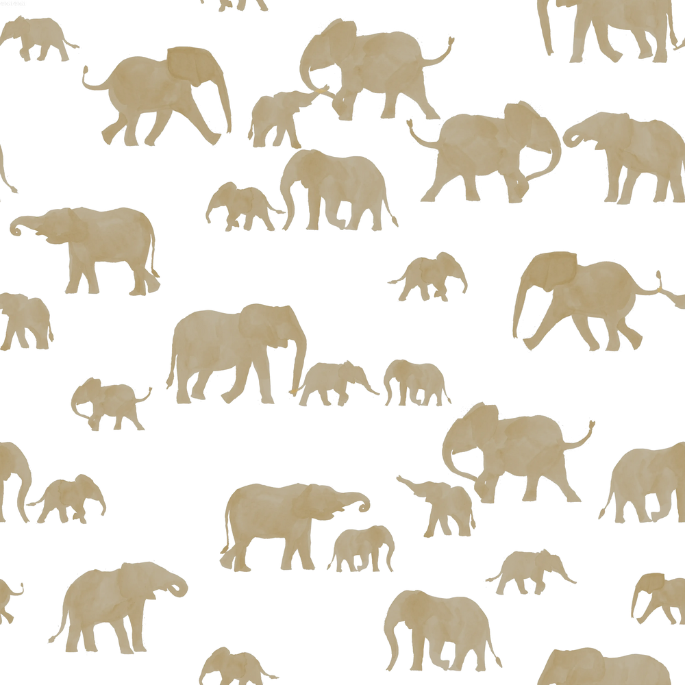 Elephants Grey