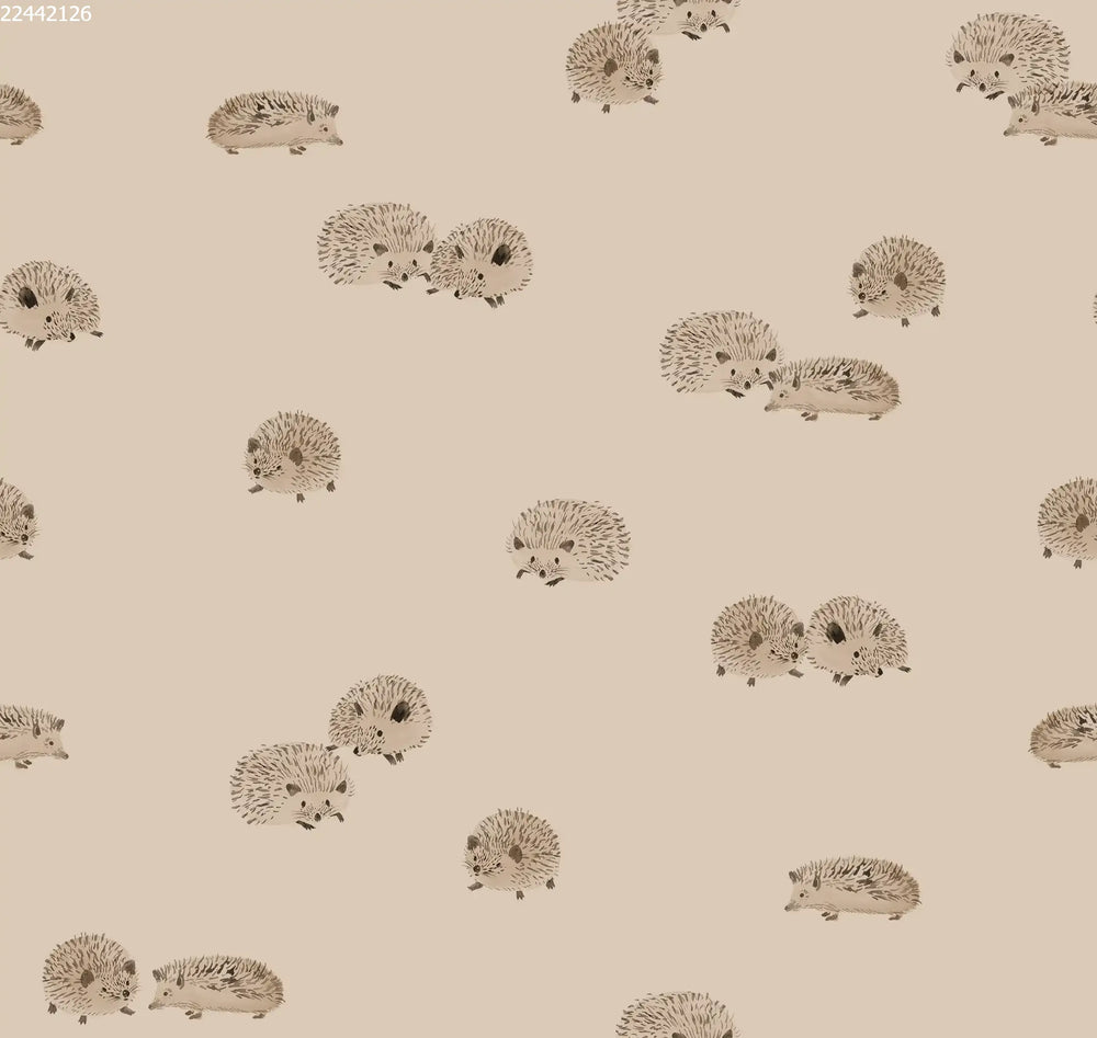 Hedgehog Brazilian Sand