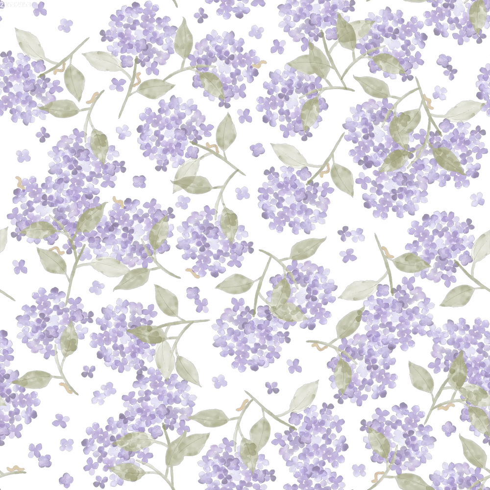 Hortensia Lavender