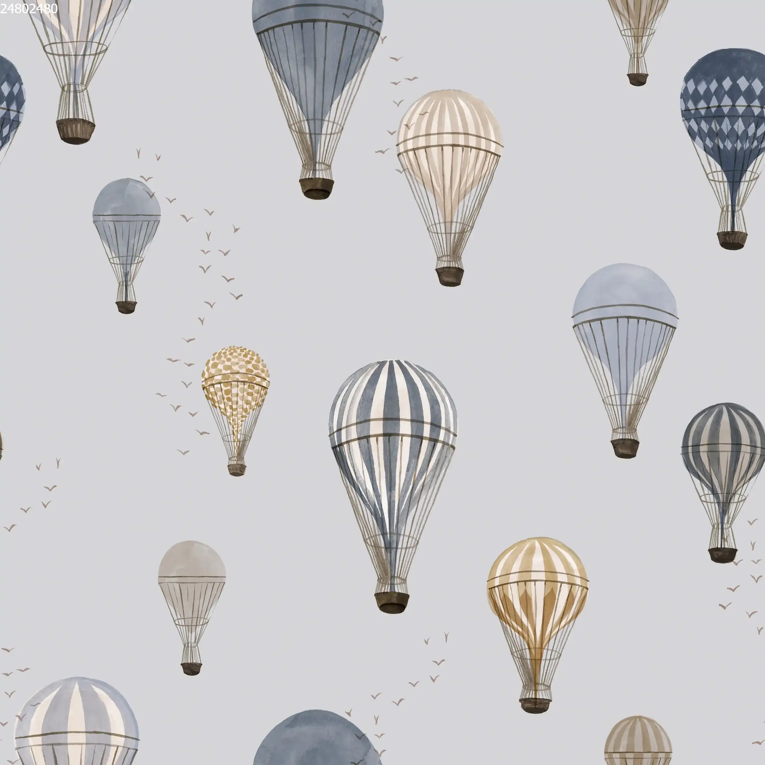 Hot Air Balloons Sky