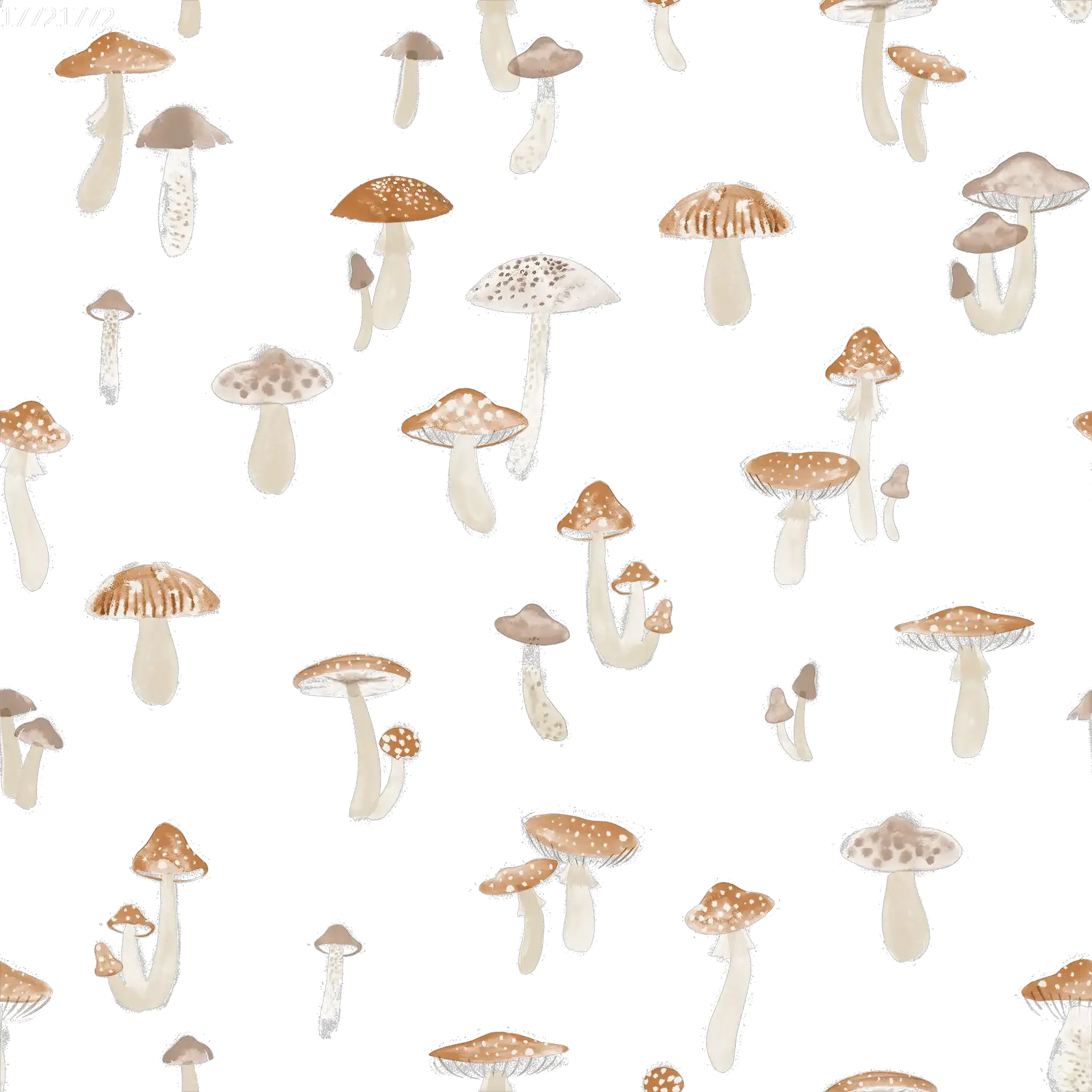 Tiny Mushroom Brown White