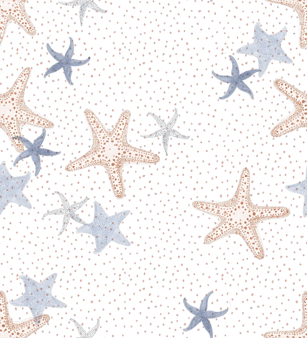 Sea Stars