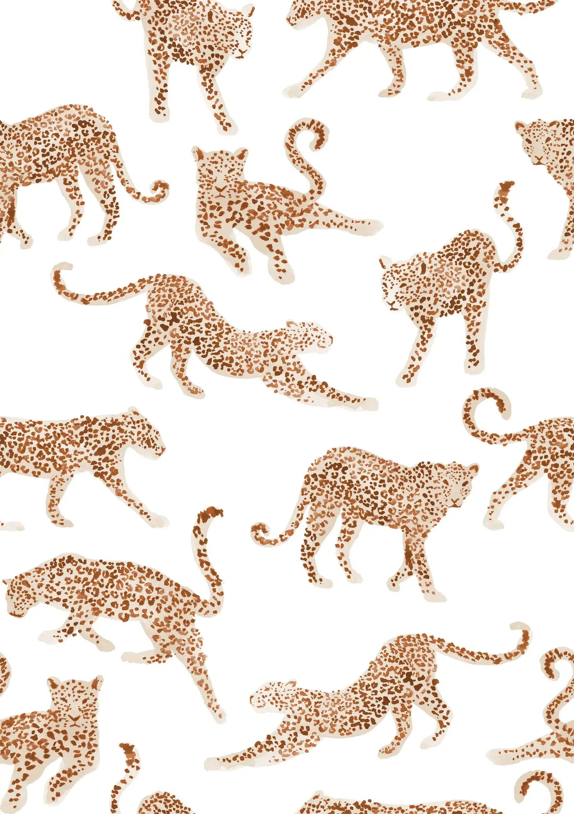Leopards
