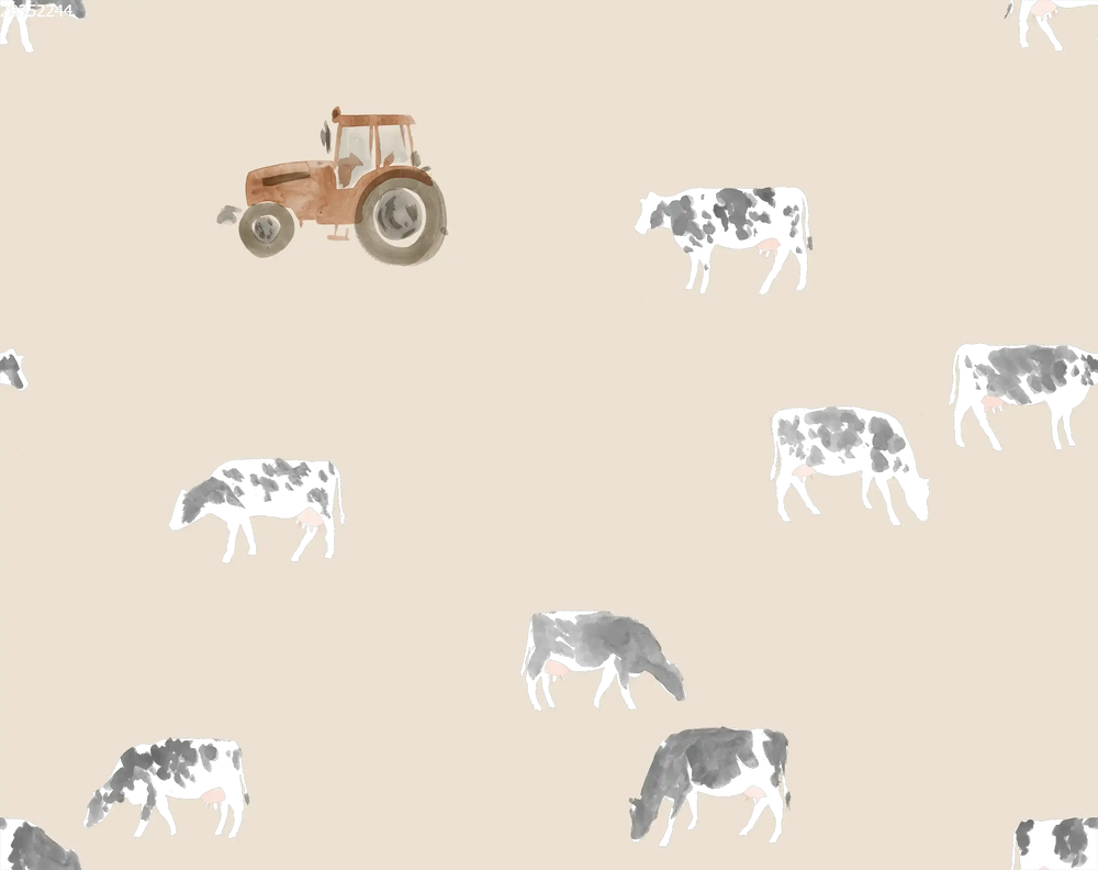 Cows Sand