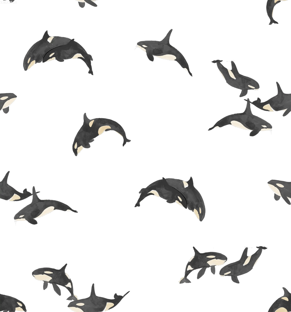 Orca Off White