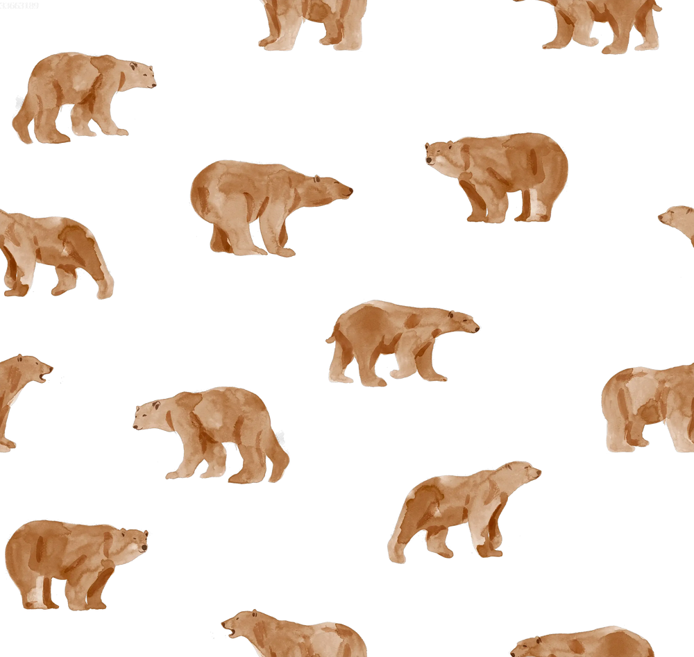 Grizzly Bear Off White