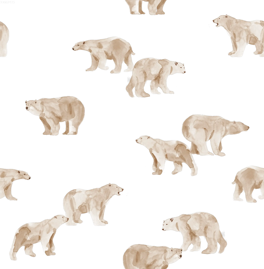 Polar Bear Off White
