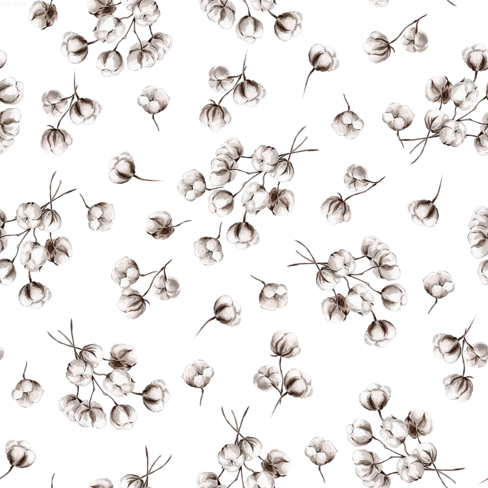 Cotton Branches Off White