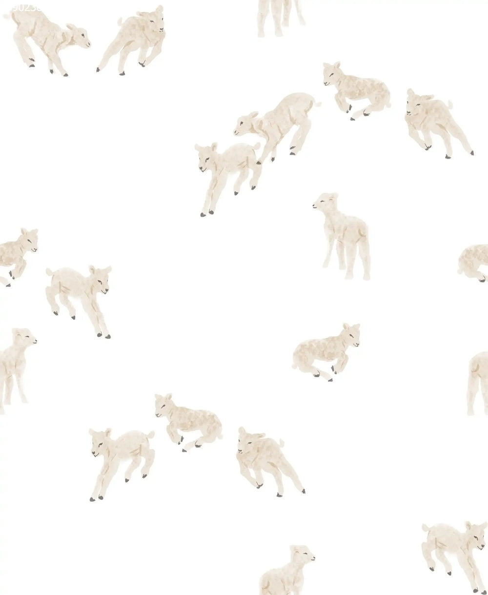 Little Lambs Off White