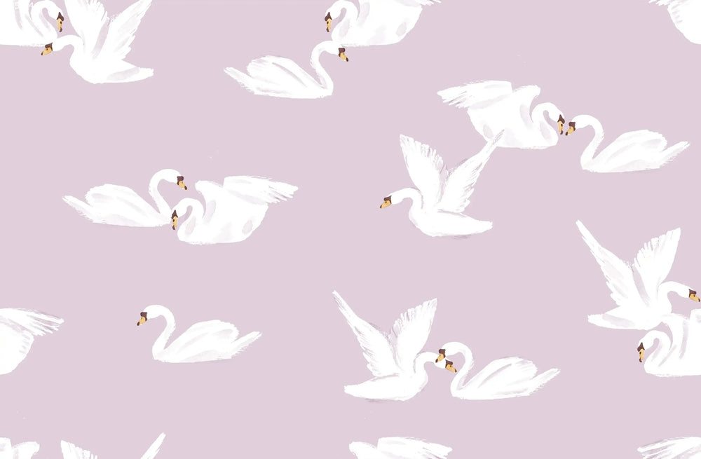 Swans Lilac