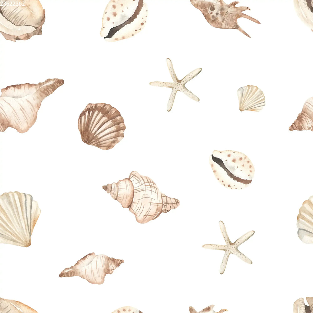 Shells & Seastars