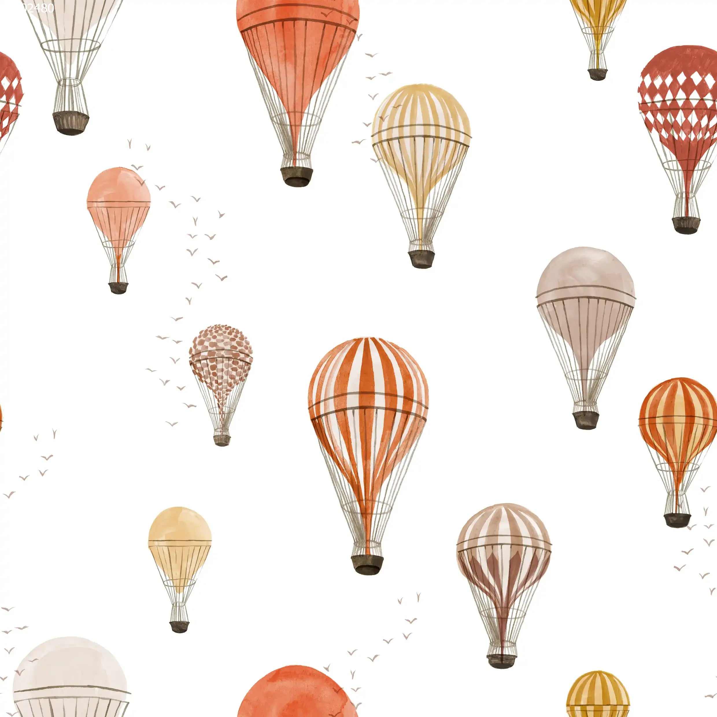 Hot Air Balloon