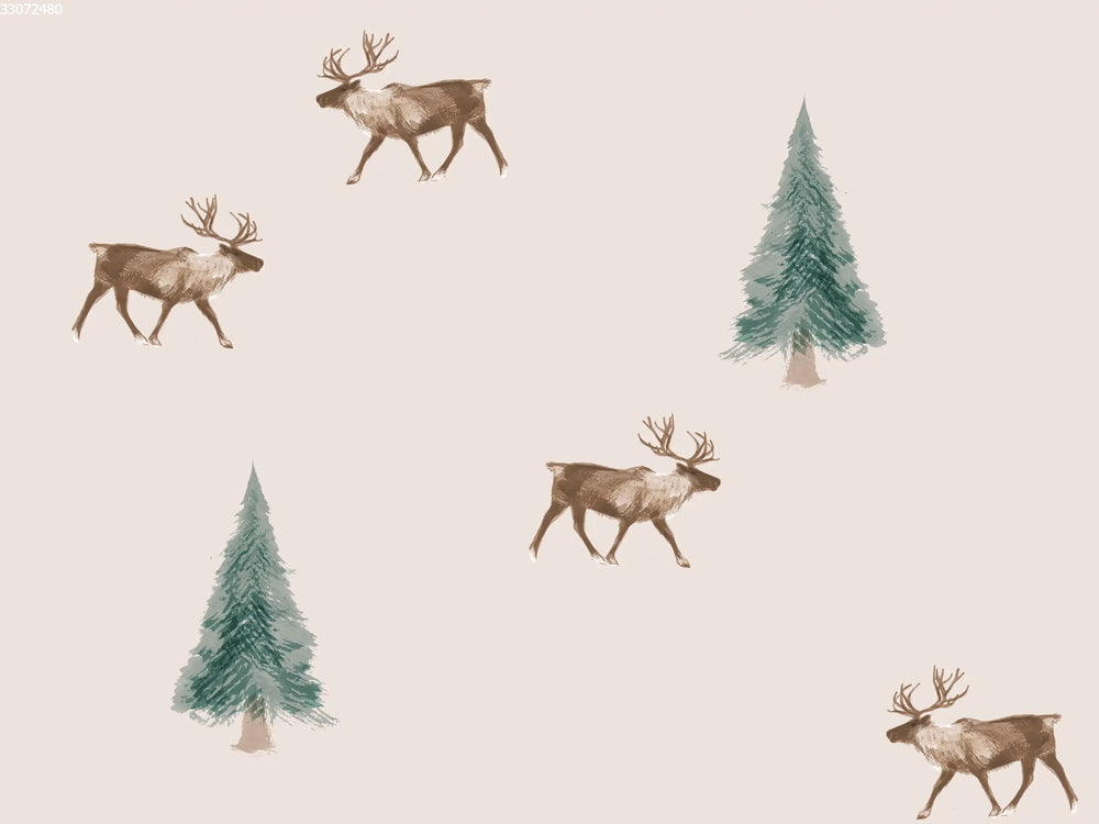 Reindeer
