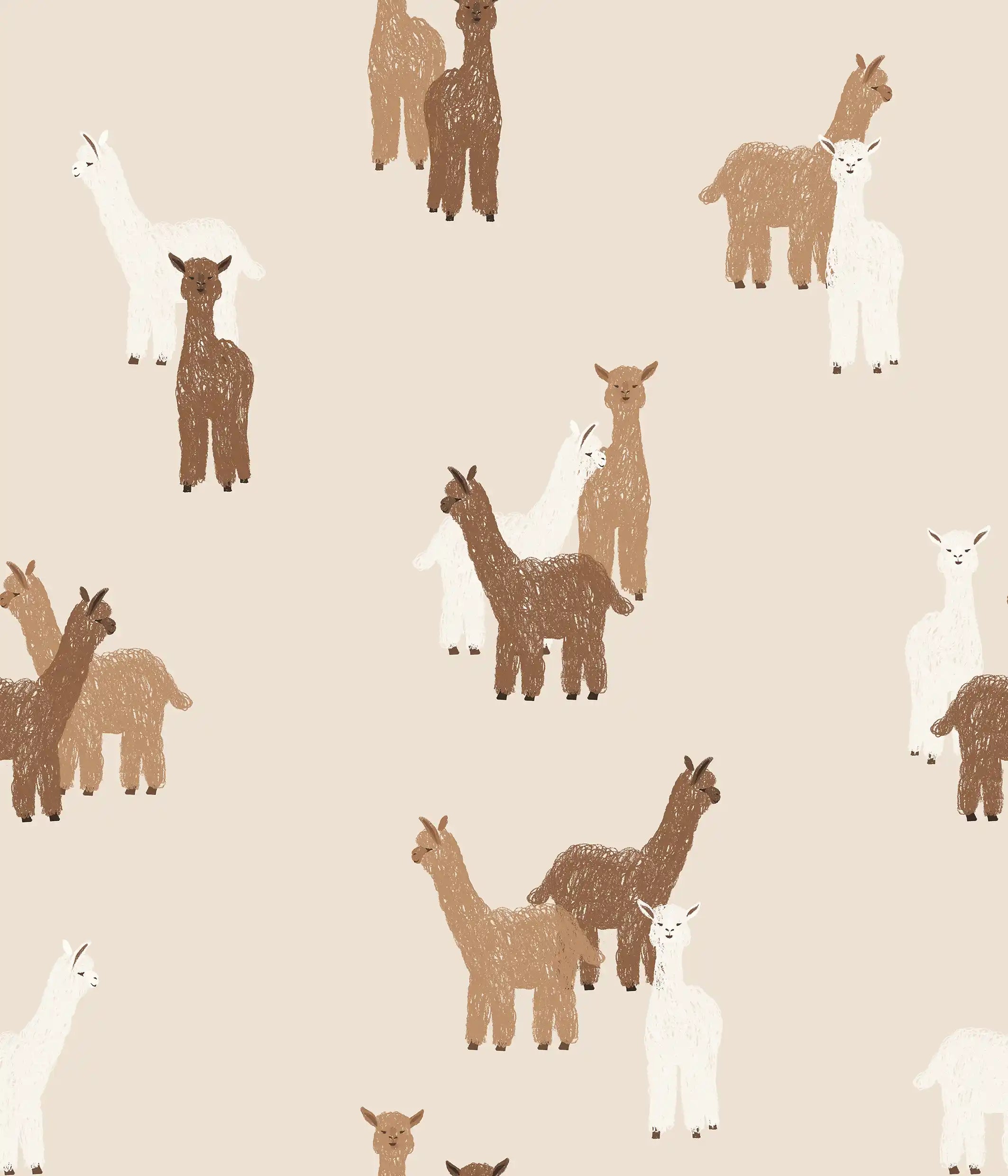 Alpaca Small