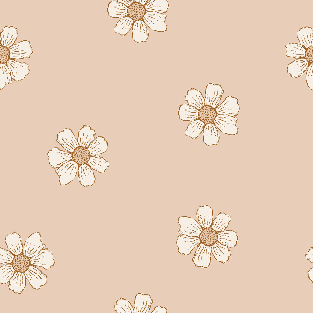 Daisies Coral