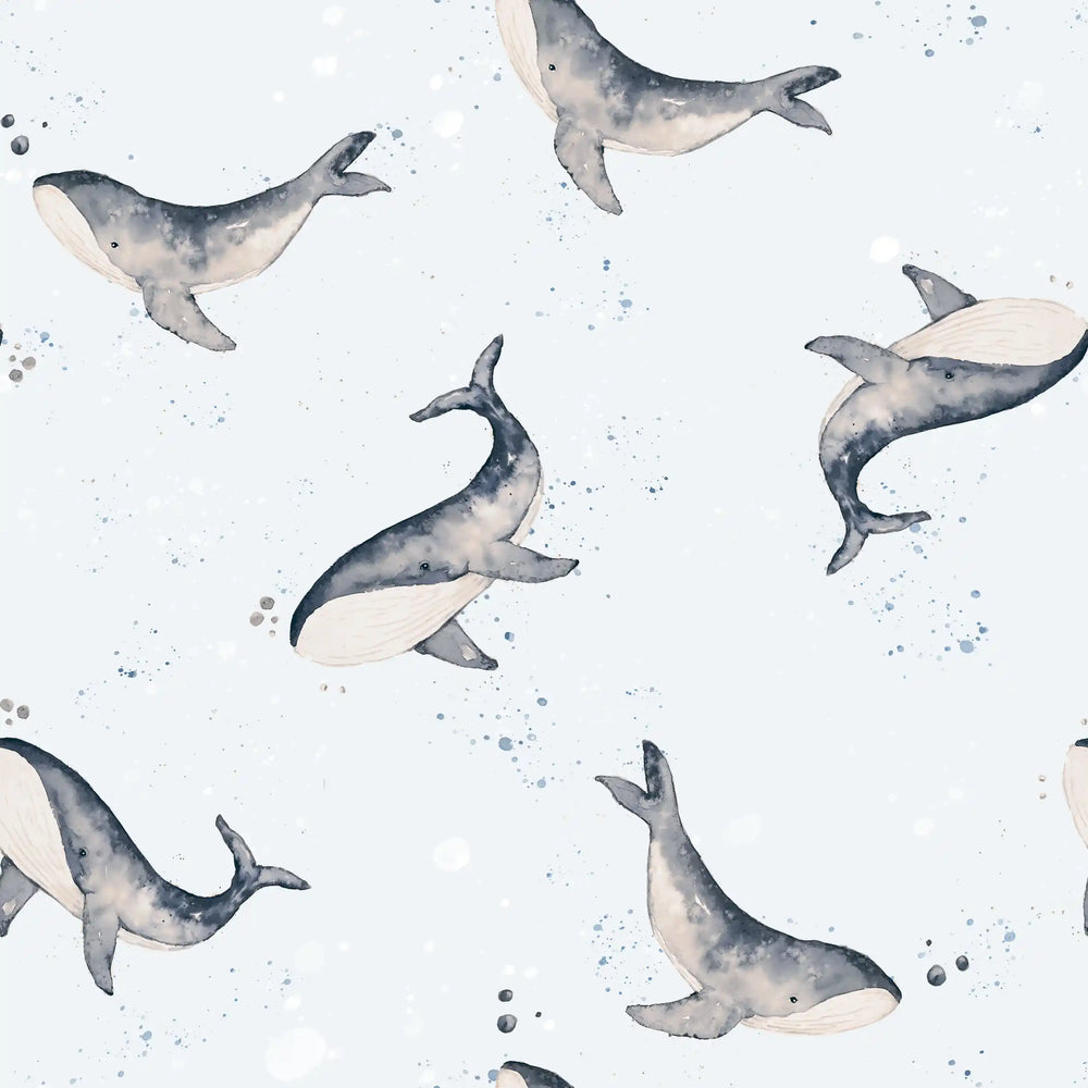 Whales Blue