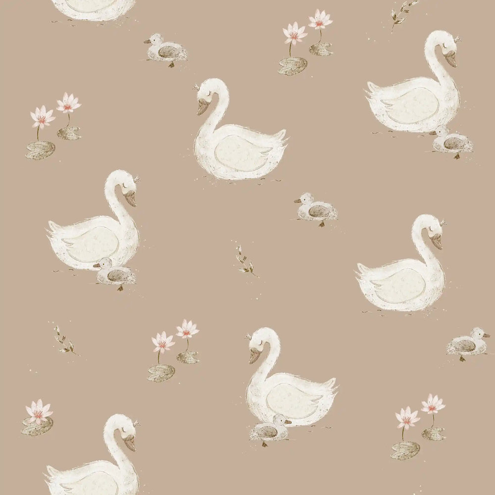 Swan Baby Brown