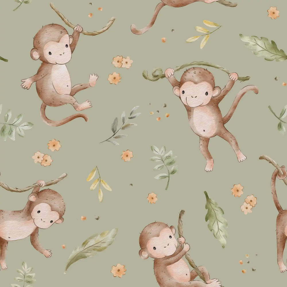 Monkeys Olive