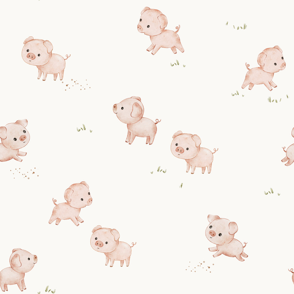 Playful Pigs Off White