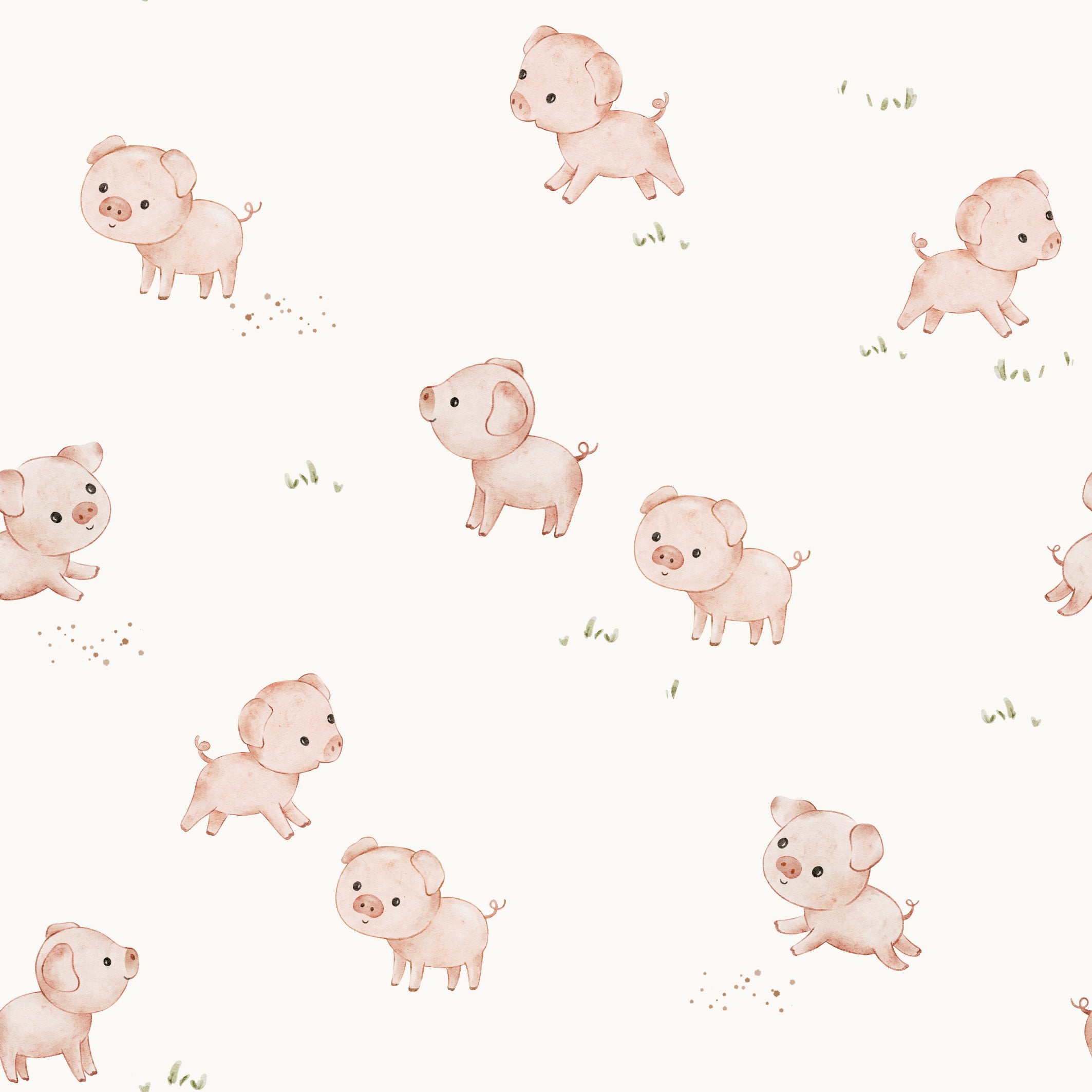 Playful Pigs Off White
