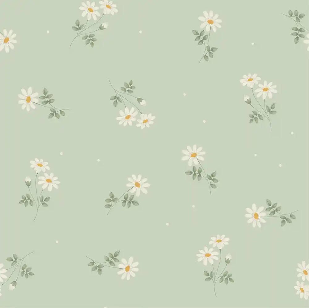 Daisies Green
