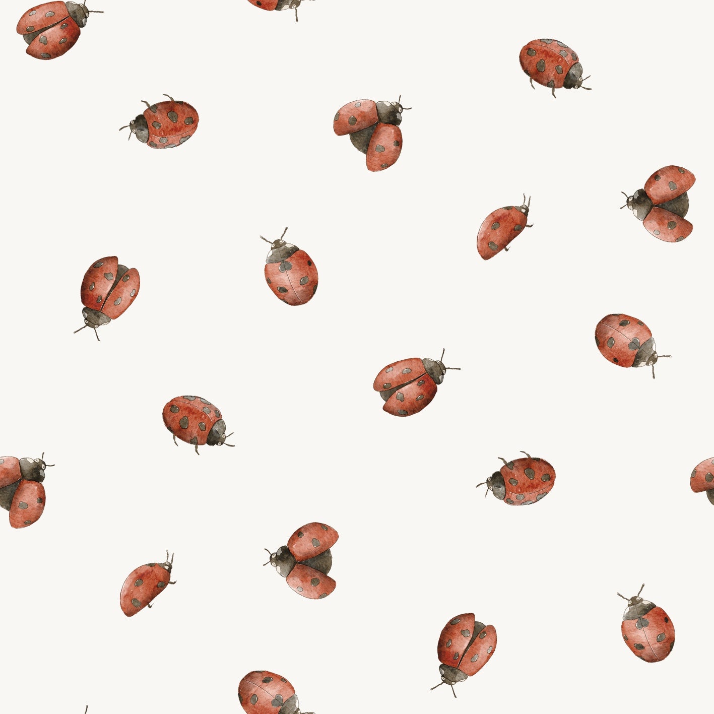 Ladybugs Cecil
