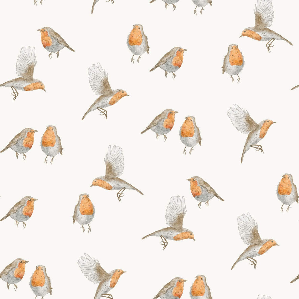 Robin Birds