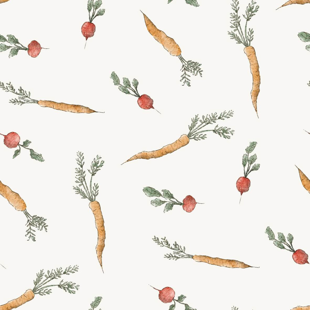 Carrot Radish Vegetables