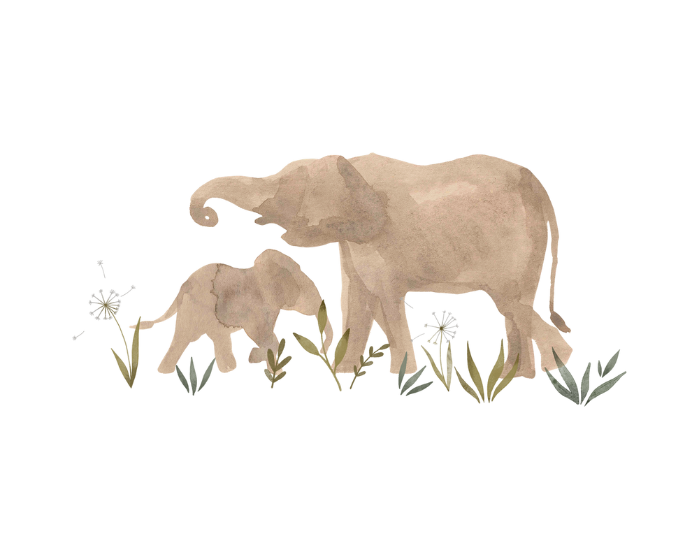 Elephant Transfer Film