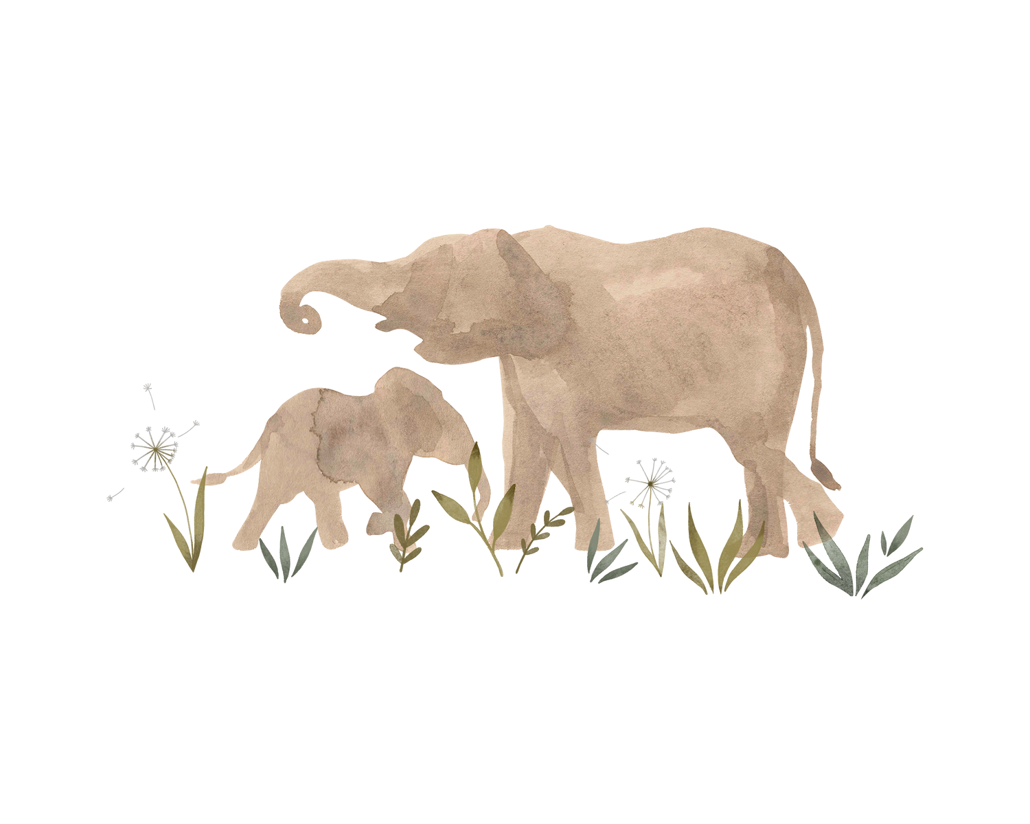 Elephant Transfer Film