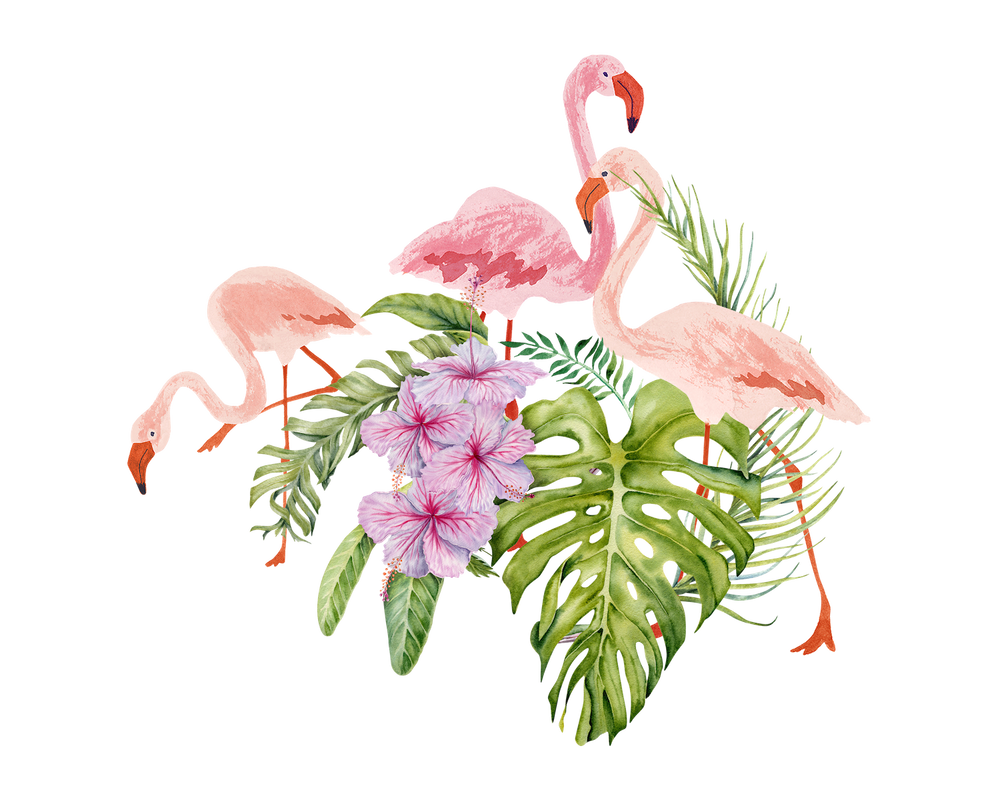 Flamingo Transfer Film