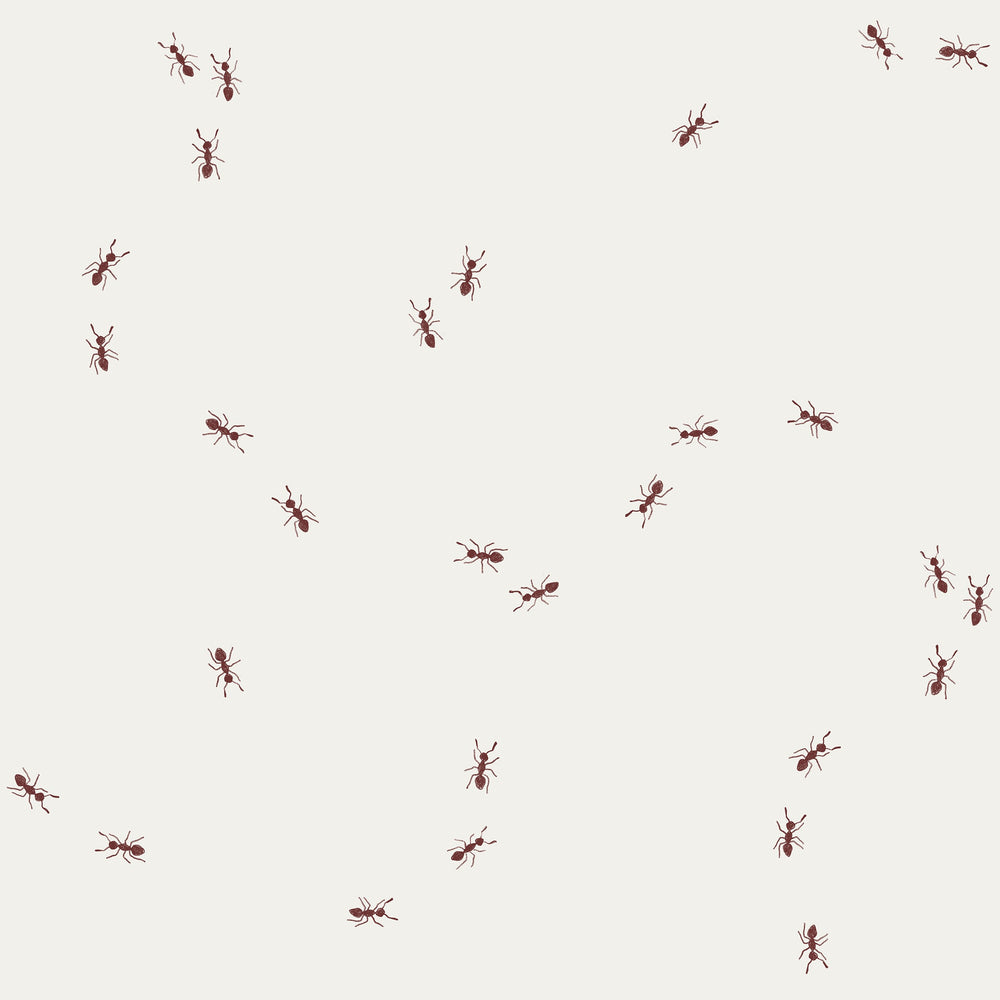 Ants Snow