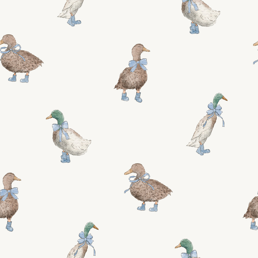 Ducks Baby Blue Bows And Boots