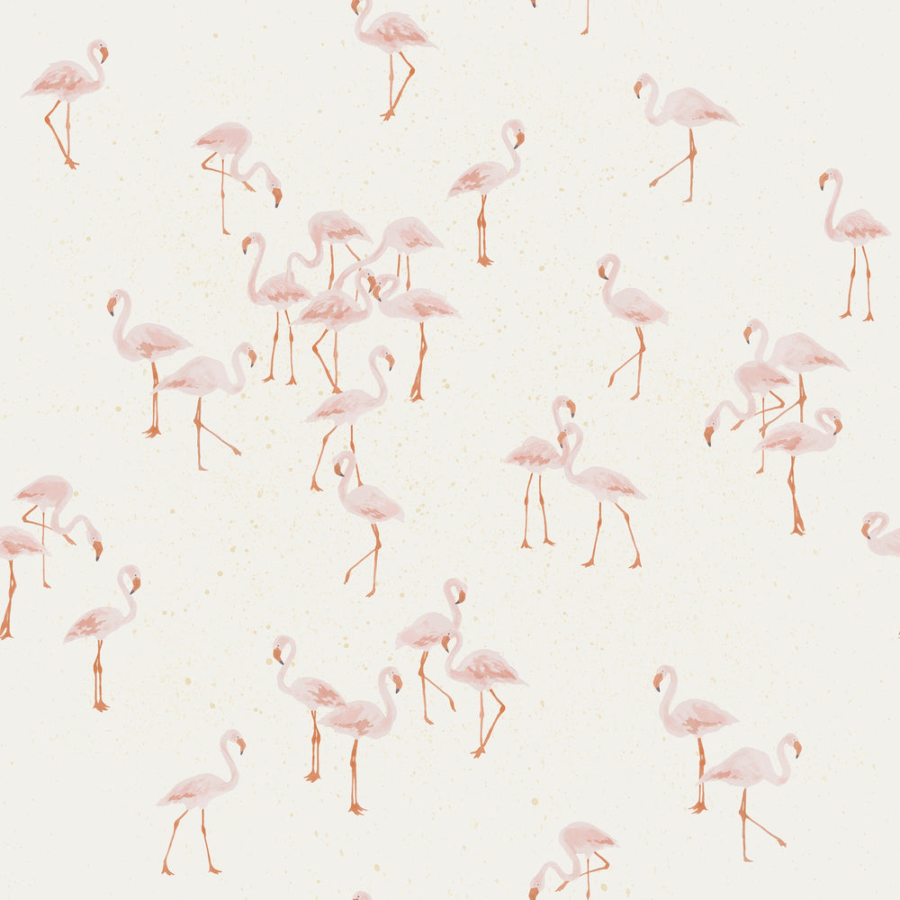 Flamingos
