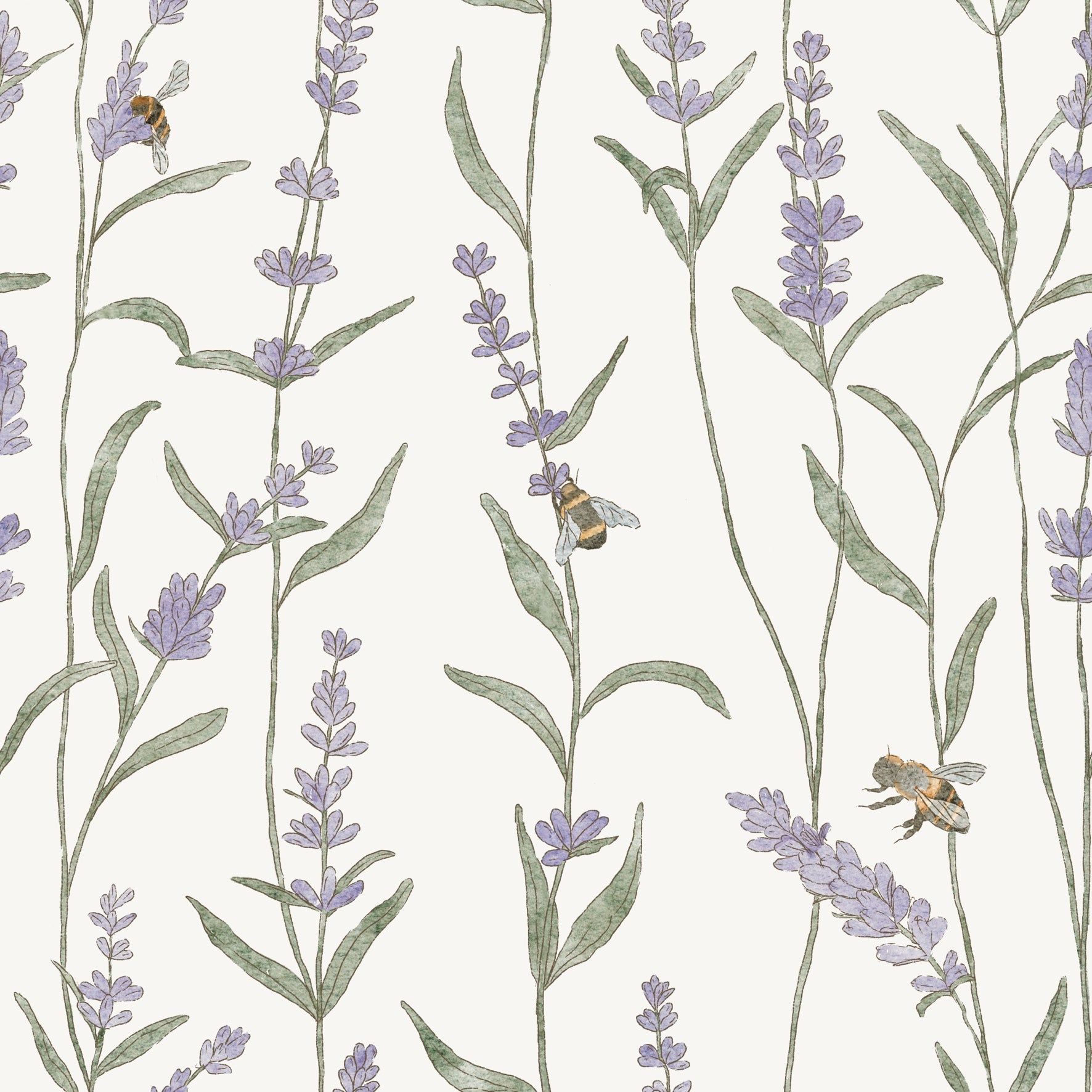 Lavender Flower Purple