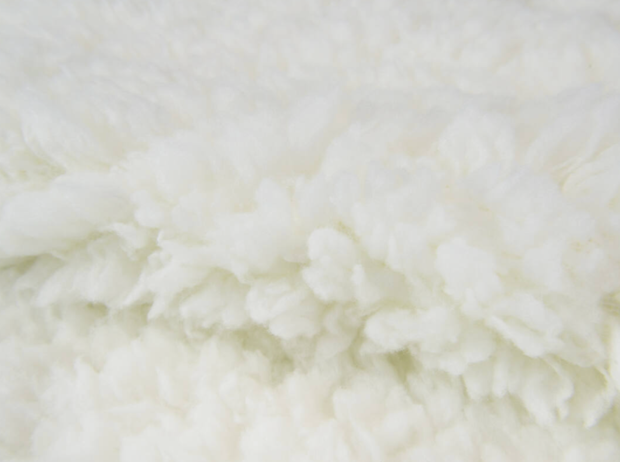 Custom Sherpa Blanket
