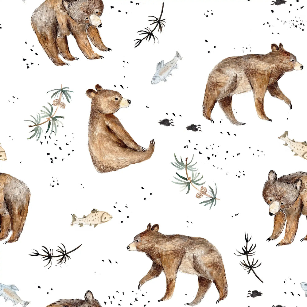 bear and fish