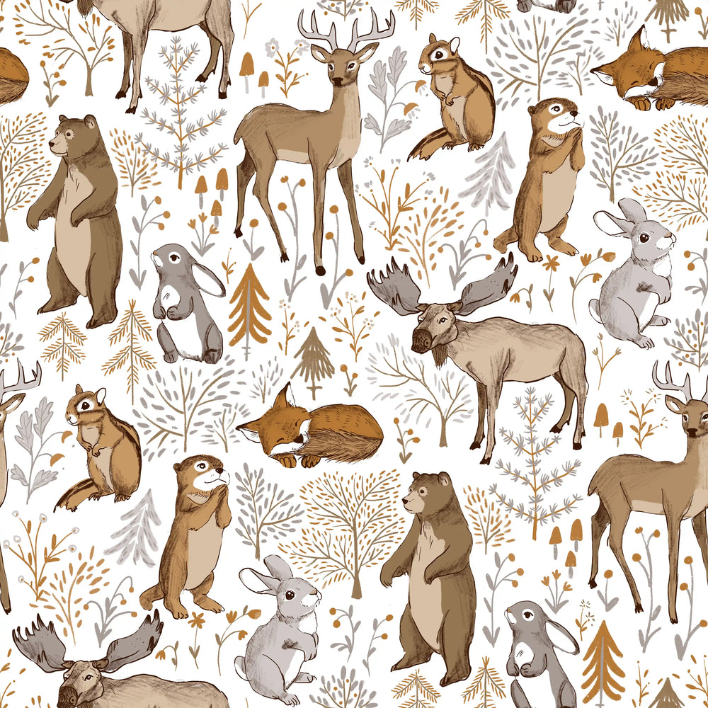 Cute Forest