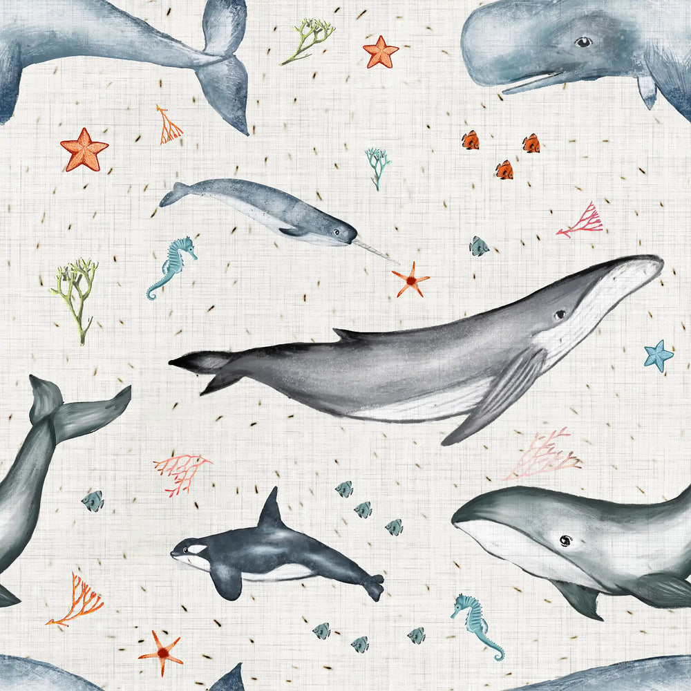 Ocean and Whale