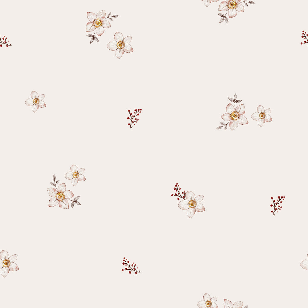 Christrose Offwhite