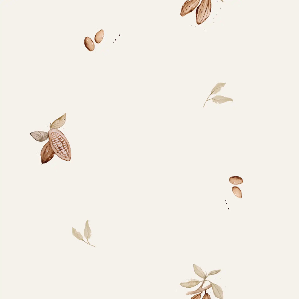 Cocoa Bean
