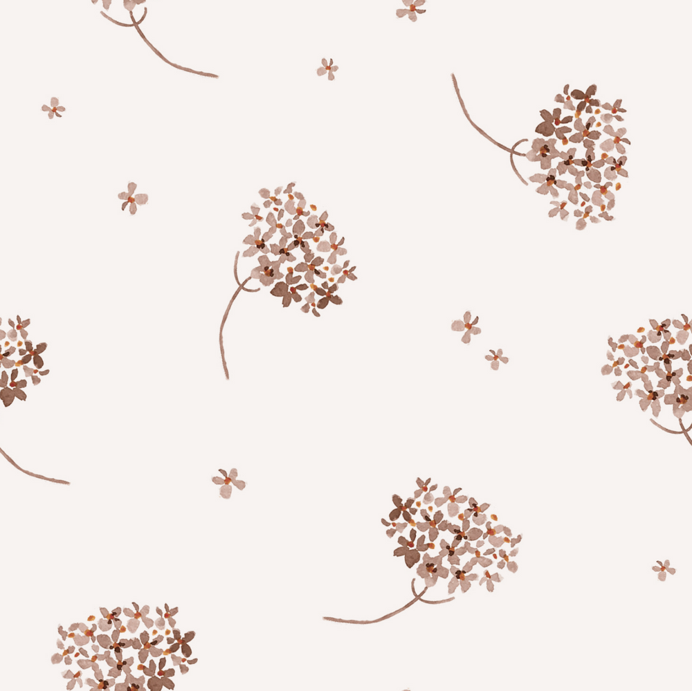Elderflower