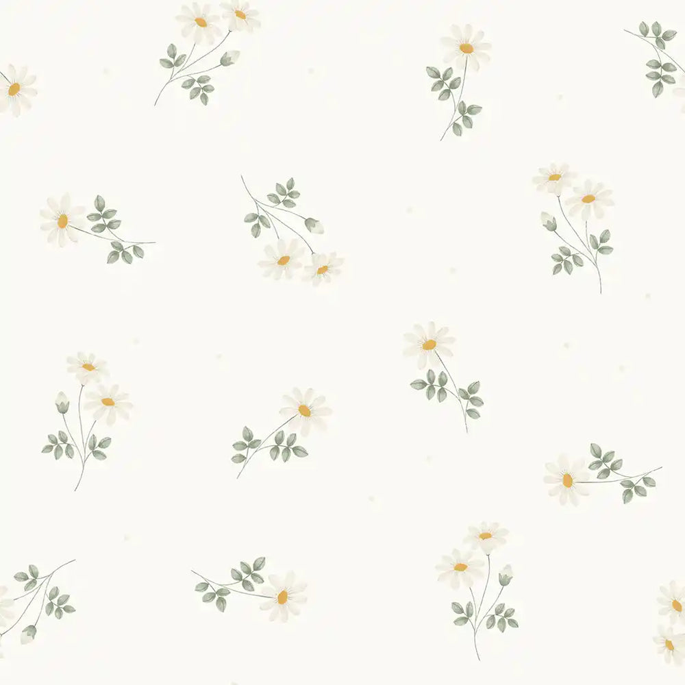Daisies White