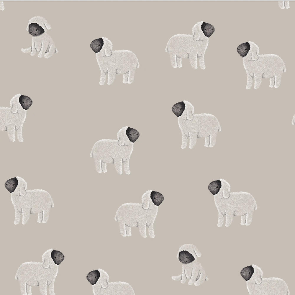 Moutons Gray