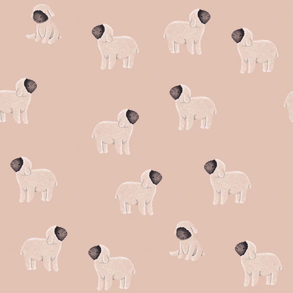 Moutons Rose