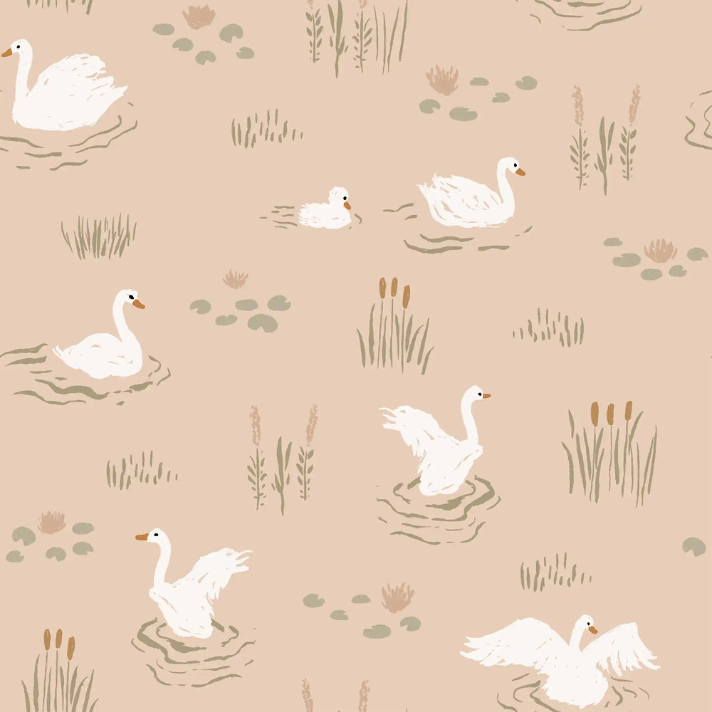 Swans Coral
