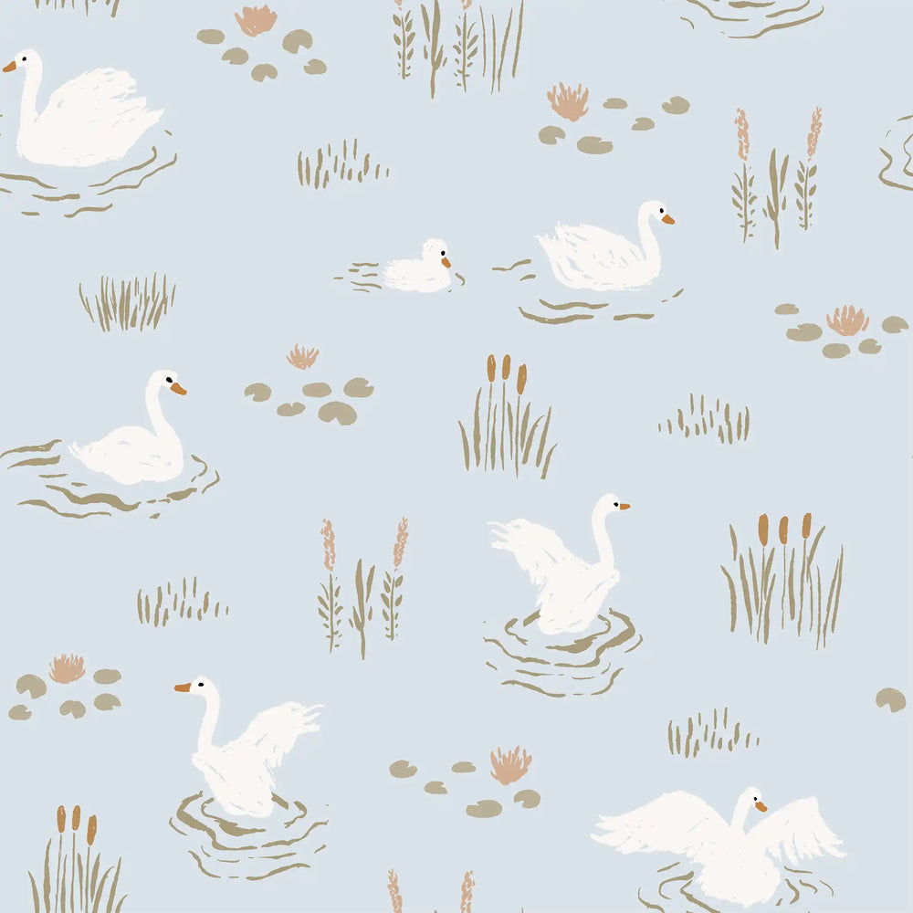 Swans Iceblue