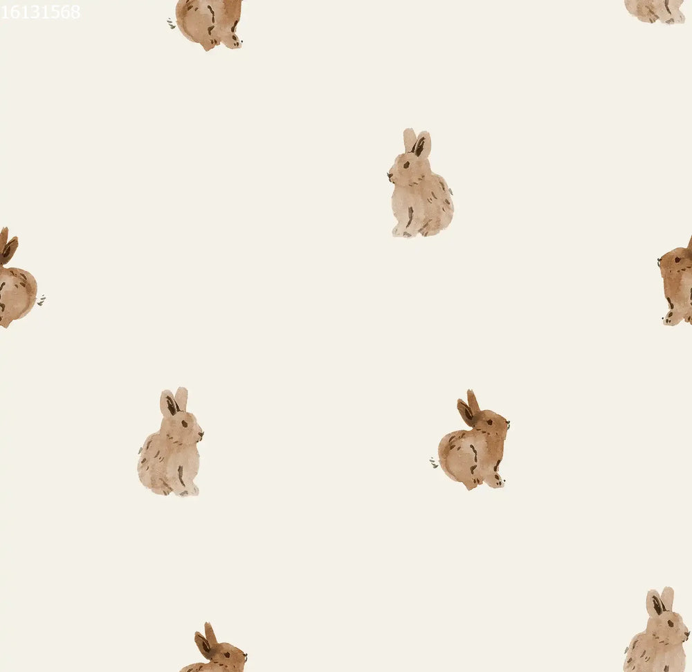 Baby Rabbit