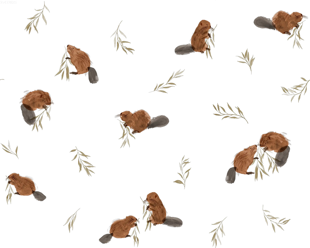Beavers